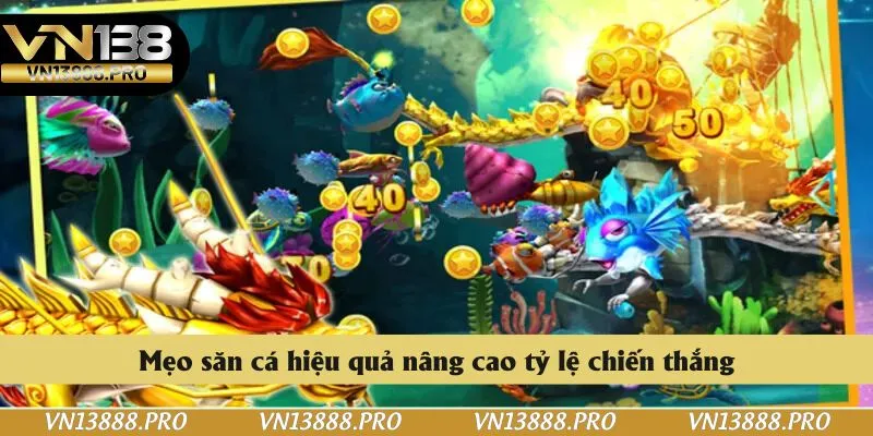 Mẹo săn cá hiệu quả nâng cao tỷ lệ chiến thắng