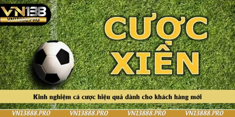 Kinh nghiệm cá cược hiệu quả dành cho khách hàng mới