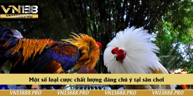 Một số loại cược chất lượng đáng chú ý tại sân chơi
