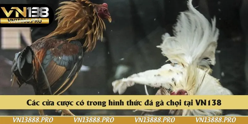 Các cửa cược có trong hình thức đá gà chọi tại VN138