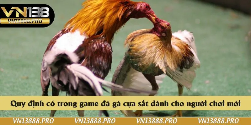 Quy định có trong game đá gà cựa sắt dành cho người chơi mới