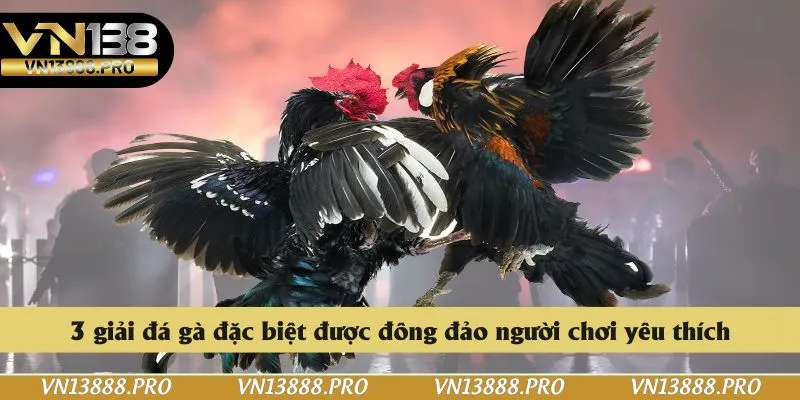 3 giải đá gà đặc biệt được đông đảo người chơi yêu thích